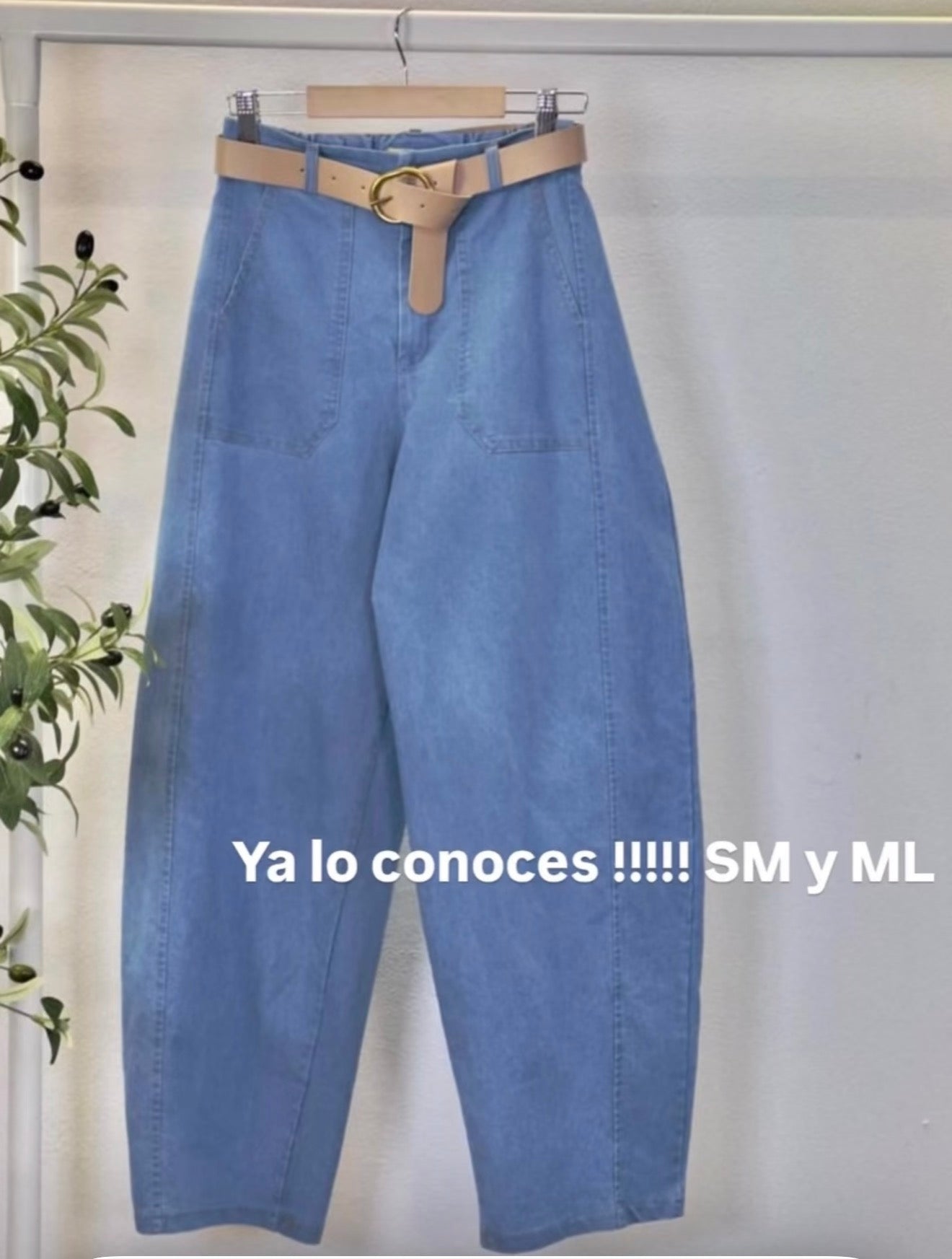 CB 6384 PANT