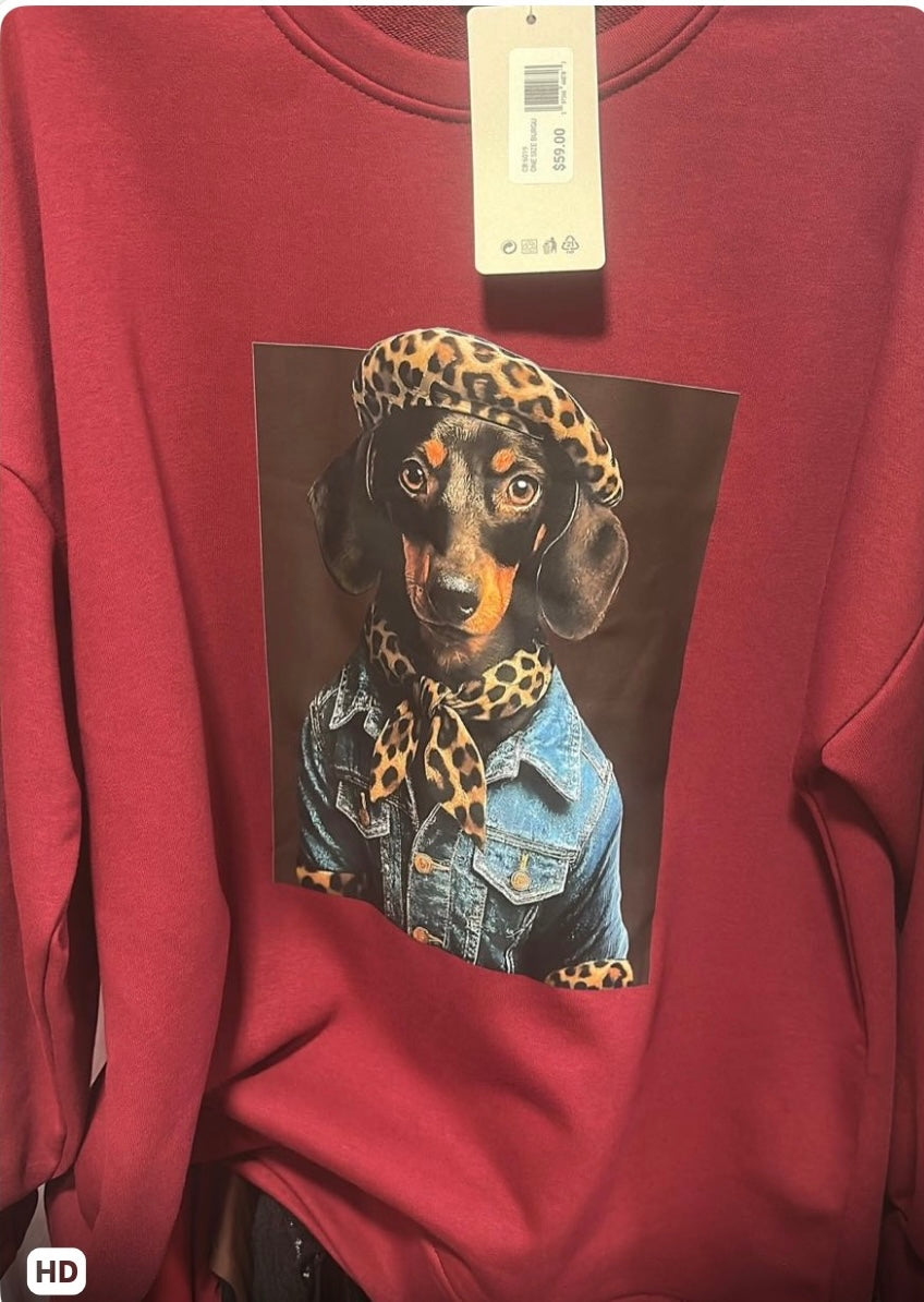 CB 6019 SWEATER
